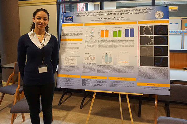 Eastern Colleges Science Conference 2017