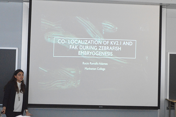 Eastern Colleges Science Conference 2019